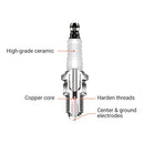 Hipa BR2LM Standard Spark Plug Replaces for Champion J19LM RJ19LM Briggs & Stratton 796112 802592 5095K Toro Recycler 22in Lawn Mower-3