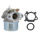 Hipa Carburetor Kit for 799869 499059 792253 497586 Briggs & Stratton Manual Choke 4-Cycle Engine Lawn Mower Cold Water Pressure Washer-2