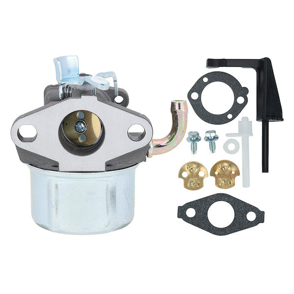 Hipa Carburetor Kit for Briggs & Stratton 798653 697354 795069 698860 790290 698859 696981 5.5HP 6HP 110432 110492 110412 111432 Engine Lawn Mower