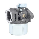 Hipa 798653 Carburetor for Briggs & Stratton 698859 694508 110432 110492 110412 Engine Replace 697354 795069 698860 791077 696981-4