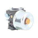 Hipa 798653 Carburetor for Briggs & Stratton 698859 694508 110432 110492 110412 Engine Replace 697354 795069 698860 791077 696981-8