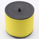 Hipa 17254-HP0-A00 Element Air Cleaner Oil Filter For Honda 420 400EX TRX420 TRX400EX TRX500FA TRX650FA TRX400X TRX500FM TRX500FPE TRX500FE-4