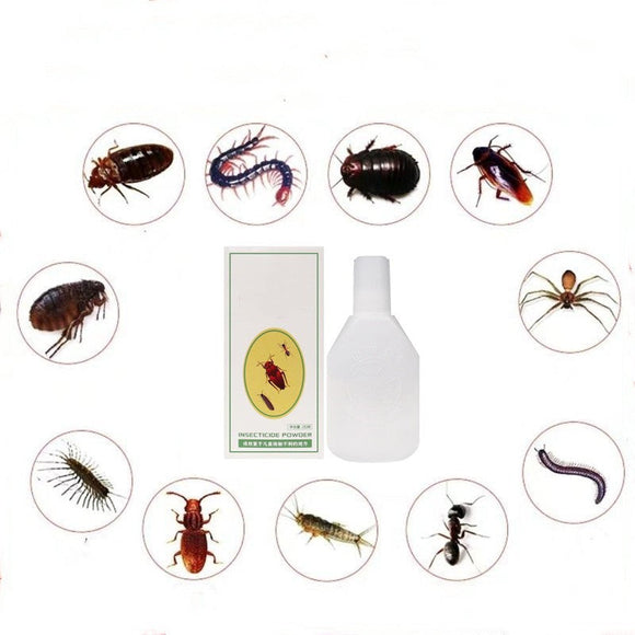 Insecticide Flea, cockroach bait Powder Household Bed Go Up To Kill Tide Insect Medicine Indoor Bedbugs