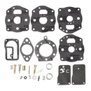 Carburetor Rebuild Kit for Briggs & Stratton 694056 402707 422437 422442 422445 Engine Toro 30116 Lawn Mower Replace 394502 491539-6