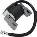 Hipa Ignition coil for Briggs and Stratton 590454 802574 491760 790817 692605 799381 Armature Magneto Engine with Spark Plug-4