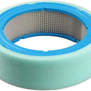 HIPA 394018S 394018 Air Filter for Briggs & Stratton Vanguard V-Twin 16HP 18HP 392642 5050H 5050B 4135 421400 402400 Engine GT235 LT166-6