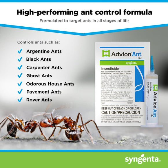 Advion Ant Gel Bait, 1 30-Gram Tube, 1 Plunger and 1 Tip, Effective Bait, Formulated with 0.05% Indoxacarb, Indoor and Outdoor Use, Killer Gel for Control of Most Major Ant Species