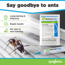Advion Ant Gel Bait, 1 30-Gram Tube, 1 Plunger and 1 Tip, Effective Bait, Formulated with 0.05% Indoxacarb, Indoor and Outdoor Use, Killer Gel for Control of Most Major Ant Species-6