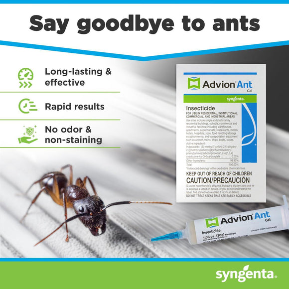 Advion Ant Gel Bait, 1 30-Gram Tube, 1 Plunger and 1 Tip, Effective Bait, Formulated with 0.05% Indoxacarb, Indoor and Outdoor Use, Killer Gel for Control of Most Major Ant Species