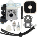 Hipa A021003661 Carburetor Kit For Echo PB-250LN PB-250 ES-250 RB-K106 PB250 PB250LN PB-250 ES250 RB-K106 Leaf Blower with Adjustment Tool-1
