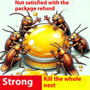 Household Pet Pregnant Mom And Baby Non-toxic Killing Whole Nest Kitchen Cockroach Stick 10 PCS-5