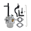 Hipa Carburetor Kit for Troy Bilt Coleman Powermate 6250 6500 5500 5550 5000 6000 Generator BS 699966 591378 696132 696133 796321 796322 695920 699958-4