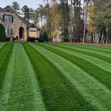 Envy Premium Tall Fescue Grass Seed Blend - 0