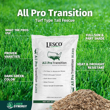 Lesco All Pro Transition Tall Fescue Grass Seed - 0