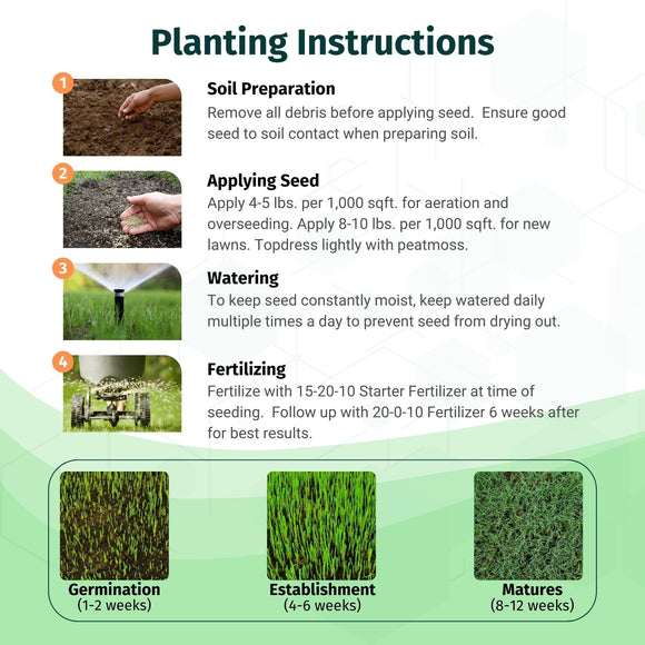 North Star Grass Seed | Premium Kentucky Bluegrass & Tall Fescue Blend