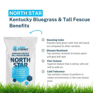 North Star Grass Seed | Premium Kentucky Bluegrass & Tall Fescue Blend - 0