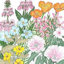 California Coastal Range Wildflower Mix (1/4 lb)-1