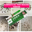Cockroach Pest Control Product for Effective Extermination-2