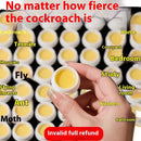 Non-toxic Killing Whole Nest Sticky Note Powerful Roach Killer-2