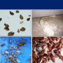 Insecticide Flea, cockroach bait Powder Household Bed Go Up To Kill Tide Insect Medicine Indoor Bedbugs-3