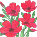 Flax, Scarlet (1/4 lb)-1
