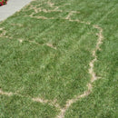 Mole & Vole Repellent Natural-2