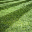 Lesco Tall Fescue Select Blend Grass Seed-3
