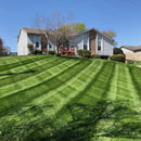 Lesco Tall Fescue Select Blend Grass Seed-2