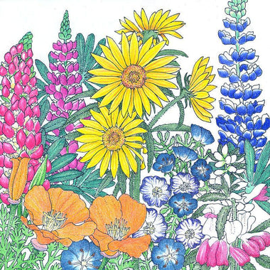 Regional Northwest Native Wildflower Mix (pack) - 0